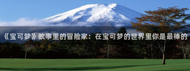 里番动漫在线免费观看：《宝可梦》故事里的冒险家：在宝可梦的世界里你是最棒的