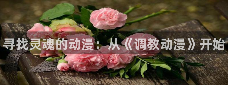 3d里番动漫：寻找灵魂的动漫：从《调教动漫》开始